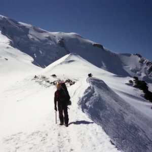 monte-4-