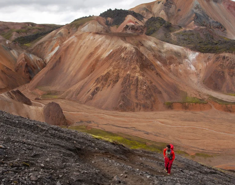 image-naturaleza-2
